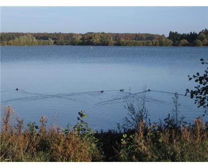 Alton Water