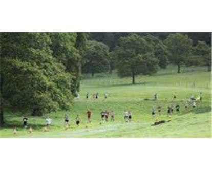 Helen's Trust 10k Chatsworth